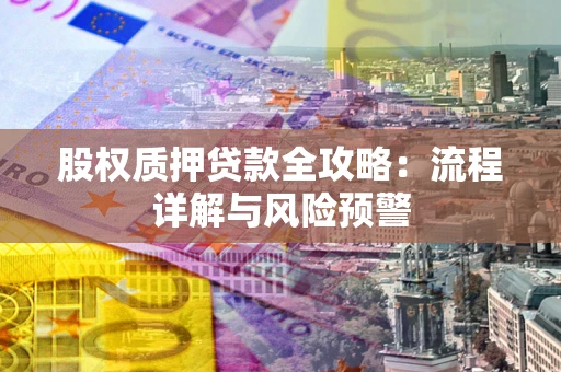 北京股权质押贷款全攻略：流程详解与风险预警