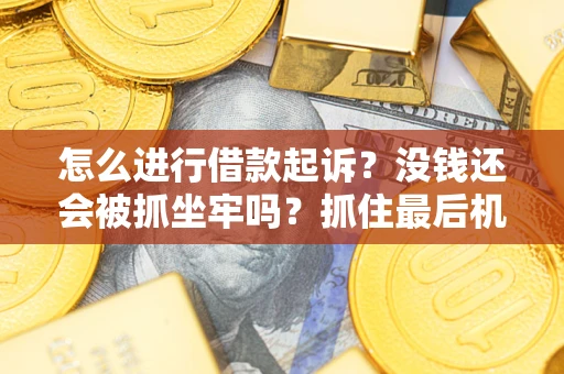 北京怎么进行借款起诉？没钱还会被抓坐牢吗？抓住最后机会！
