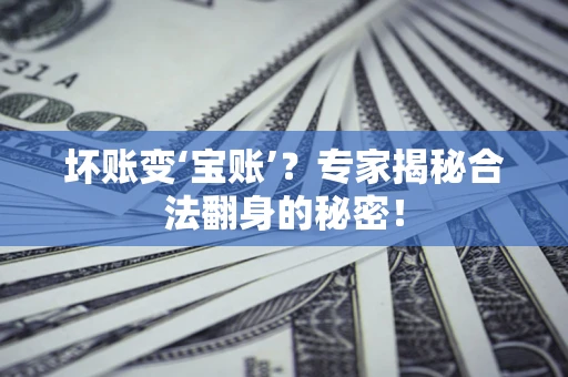 北京坏账变‘宝账’？专家揭秘合法翻身的秘密！