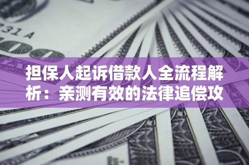 北京担保人起诉借款人全流程解析：亲测有效的法律追偿攻略