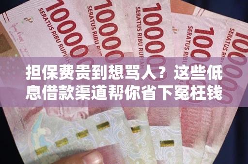 北京担保费贵到想骂人？这些低息借款渠道帮你省下冤枉钱