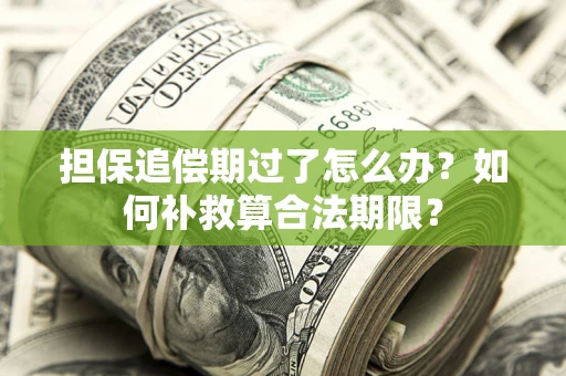 北京担保追偿期过了怎么办？如何补救算合法期限？