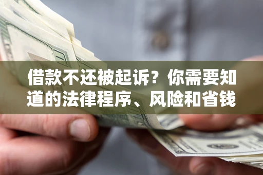 北京借款不还被起诉？你需要知道的法律程序、风险和省钱技巧